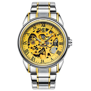 Skeleton Automatic Men's Watch – Luxury Stainless Steel Business Watch